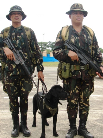 The AFP is always ready. We have the capability to fight terrorism ...